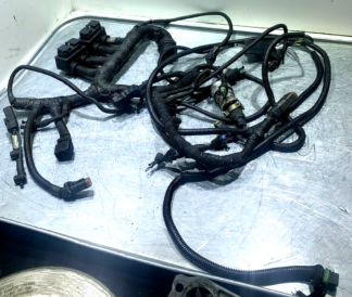 Cummins 4923977 3348061 ISX QSX Wiring Harness